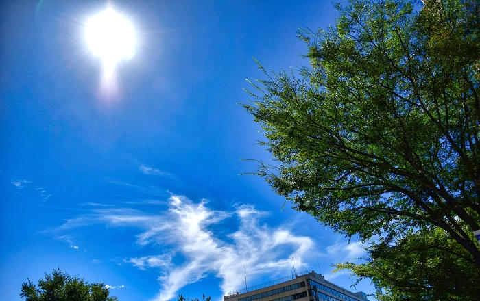8月20日の千葉市は快晴!