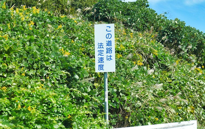 千葉北道路の標識（2）